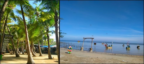 Pantai Kelapa Tuban : Pantai yang memiliki Ribuan Pohon Kelapa